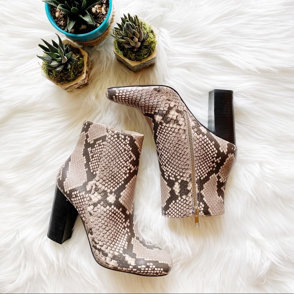 snake print booties steve madden